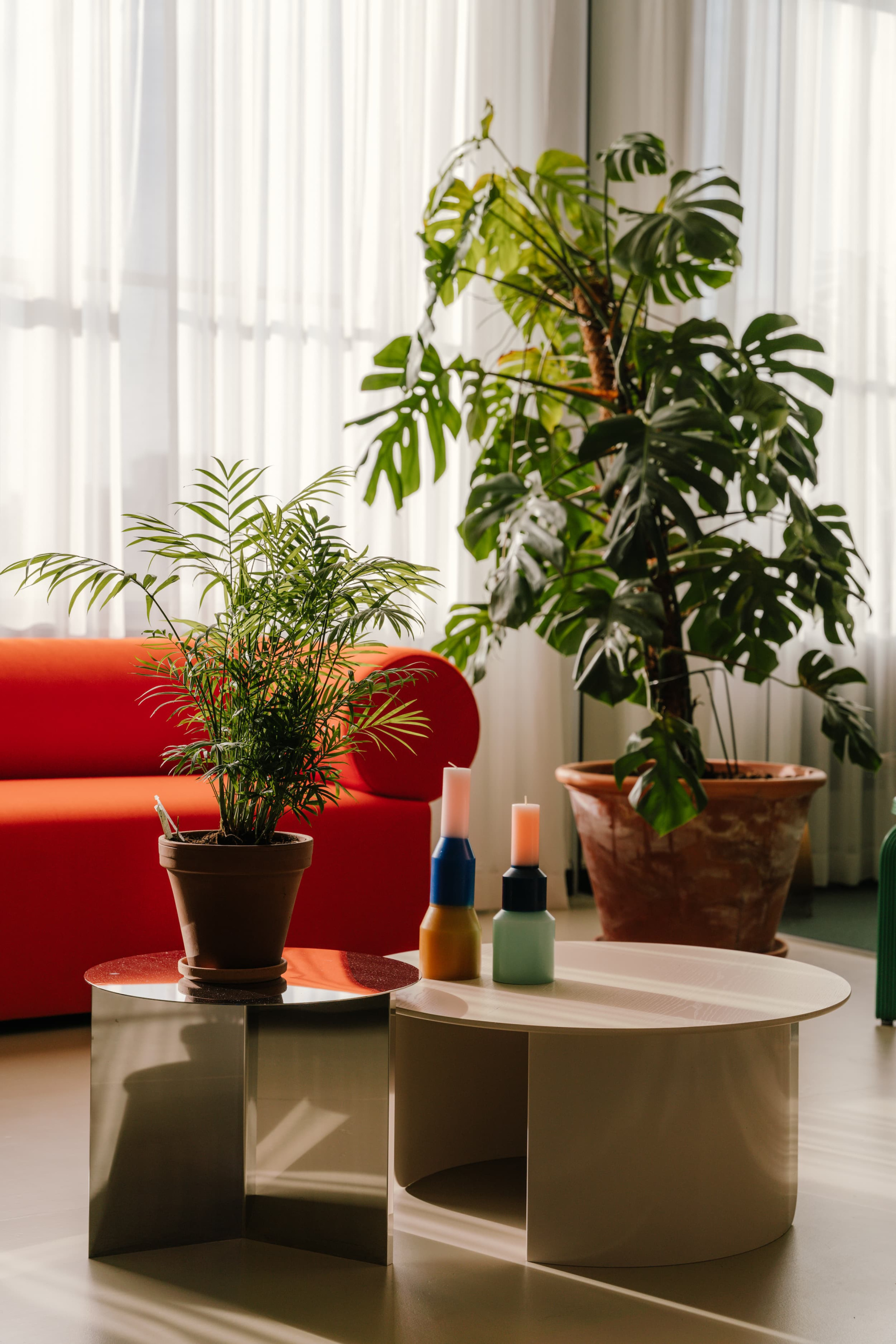 Potted plants and modern coffee tables in the Verve office lounge with a bright red sof